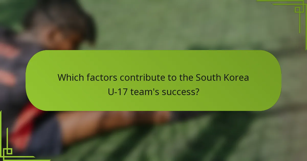 Which factors contribute to the South Korea U-17 team's success?